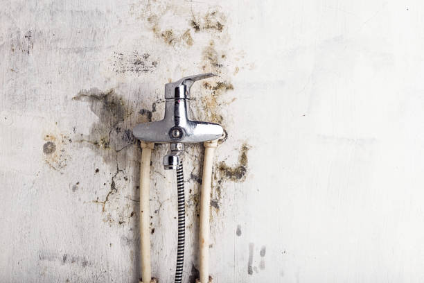 Water Damage Restoration in Monroeville, AL
