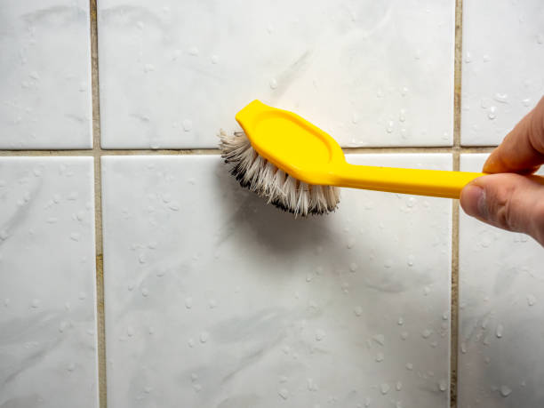 Best Mold Cleaning Services  in Monroeville, AL