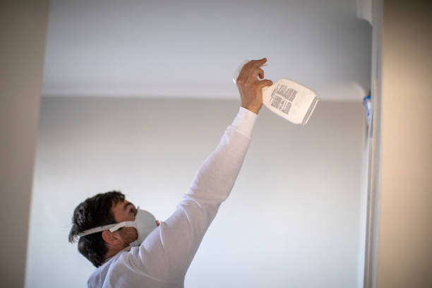 Certified Mold Removal in Monroeville, AL