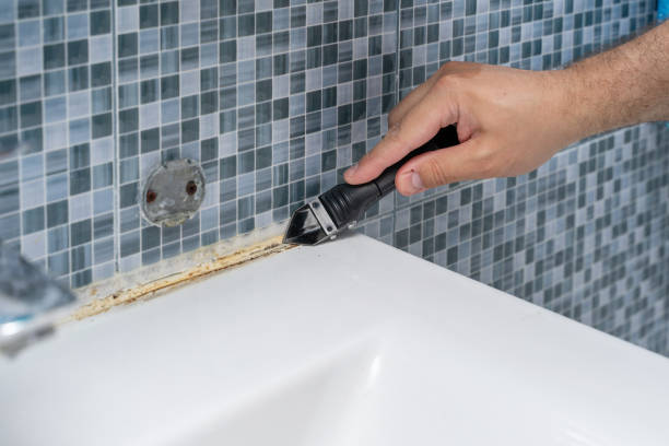 Best Affordable Mold Removal  in Monroeville, AL