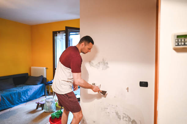 Best Crawl Space Mold Removal  in Monroeville, AL